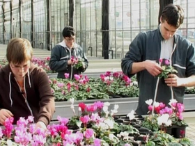 CAP agricole métiers de l'agriculture spé  production végétale : horticulture