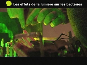 Chercheuse en Sciences chimiques : les effets de la lumière sur les bactéries