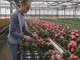 Ouvrier horticole