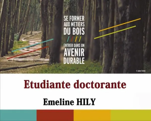 Se former aux métiers du bois, Emeline, doctorante - OnisepTV : l ...